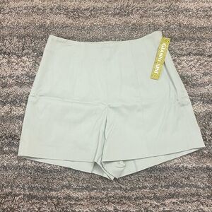 Gianni Bini Mint High Rise Shorts Sz XS NWT | Gianni Bini Women Shorts Sz XS NWT